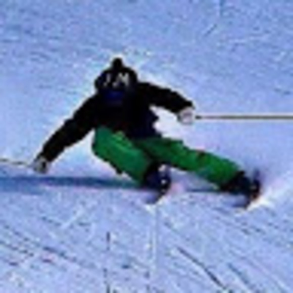 Meet your Posher, Bradley - Picture 1 of 1